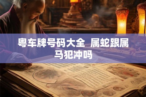 粤车牌号码大全  属蛇跟属马犯冲吗