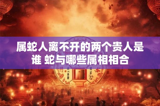 属蛇人离不开的两个贵人是谁 蛇与哪些属相相合