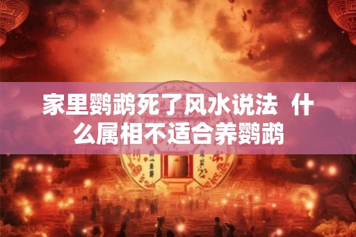 家里鹦鹉死了风水说法  什么属相不适合养鹦鹉