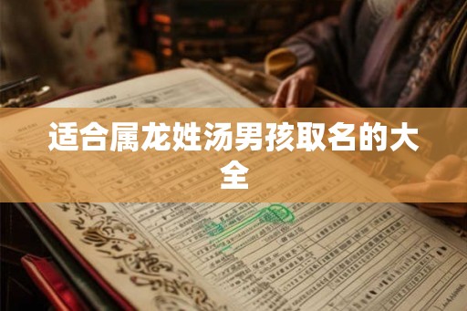 适合属龙姓汤男孩取名的大全