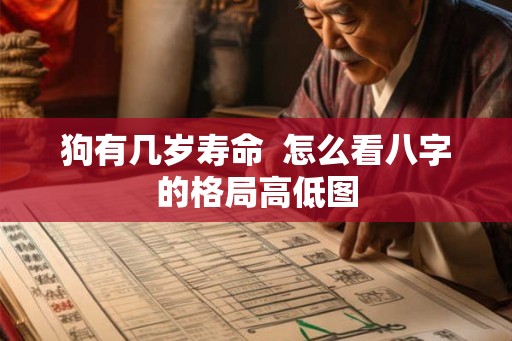 狗有几岁寿命  怎么看八字的格局高低图