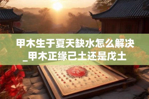 甲木生于夏天缺水怎么解决_甲木正缘己土还是戊土