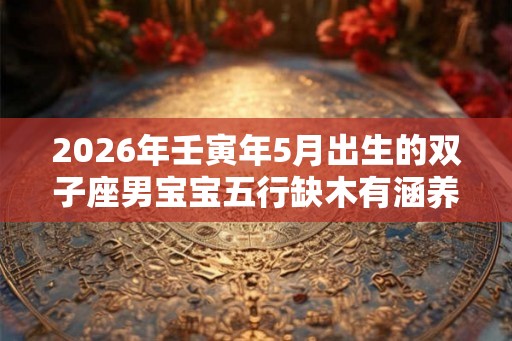2026年壬寅年5月出生的双子座男宝宝五行缺木有涵养名字