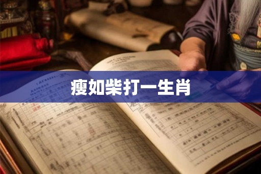 瘦如柴打一生肖
