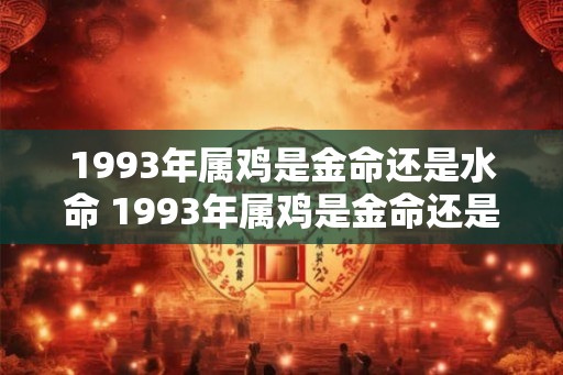 1993年属鸡是金命还是水命 1993年属鸡是金命还是水命