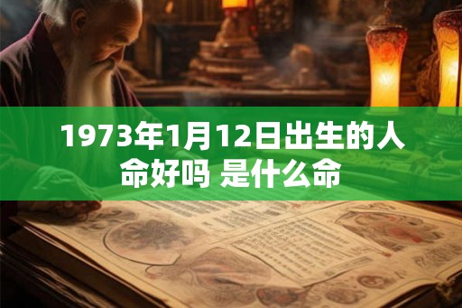 1973年1月12日出生的人命好吗 是什么命