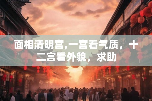 面相清明宫,一宫看气质，十二宫看外貌，求助