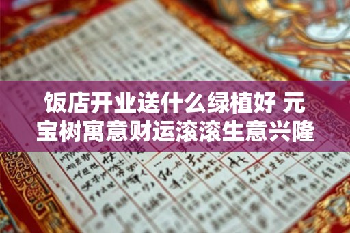 饭店开业送什么绿植好 元宝树寓意财运滚滚生意兴隆
