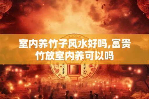 室内养竹子风水好吗,富贵竹放室内养可以吗