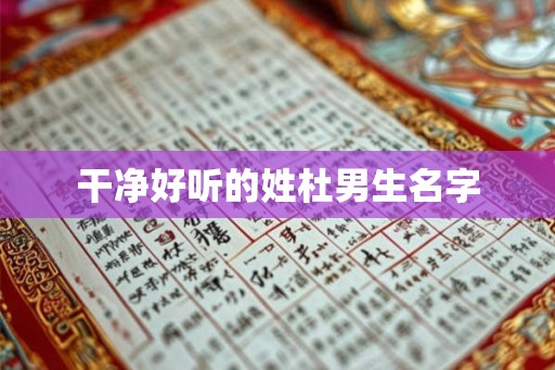 干净好听的姓杜男生名字