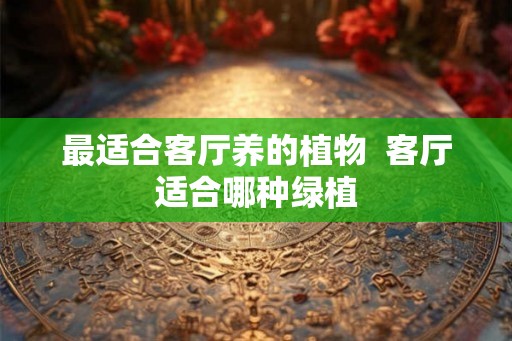 最适合客厅养的植物  客厅适合哪种绿植