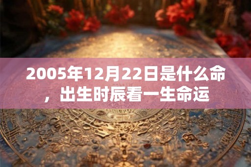 2005年12月22日是什么命，出生时辰看一生命运
