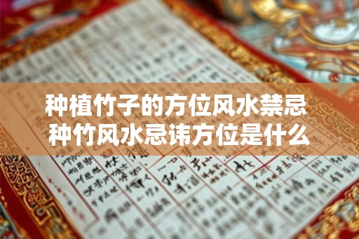 种植竹子的方位风水禁忌 种竹风水忌讳方位是什么