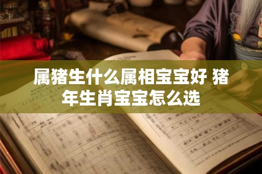 属猪生什么属相宝宝好 猪年生肖宝宝怎么选