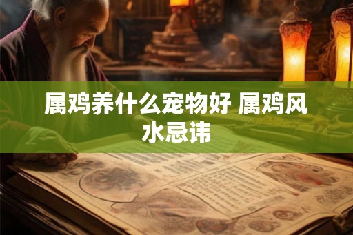 属鸡养什么宠物好 属鸡风水忌讳 属鸡养什么宠物好 属鸡风水忌讳