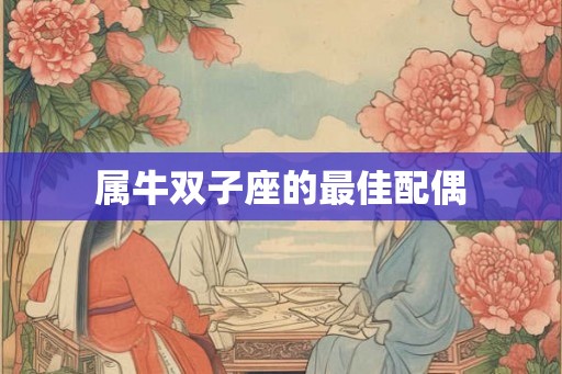 属牛双子座的最佳配偶