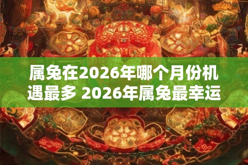 属兔在2026年哪个月份机遇最多 2026年属兔最幸运的月份是 属兔在2026年哪个月份机遇最多 2026年属兔最幸运的月份是