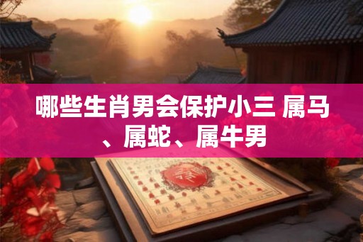 哪些生肖男会保护小三 属马、属蛇、属牛男