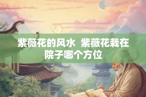 紫薇花的风水  紫薇花栽在院子哪个方位