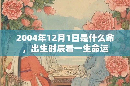 2004年12月1日是什么命,出生时辰看一生命运 2004年12月1日是什么命,出生时辰看一生命运
