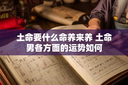 土命要什么命养来养 土命男各方面的运势如何