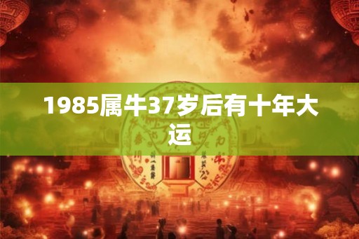 1985属牛37岁后有十年大运