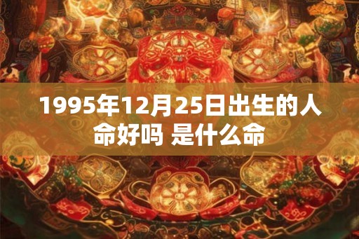 1995年12月25日出生的人命好吗 是什么命