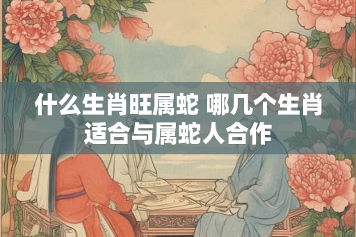 什么生肖旺属蛇 哪几个生肖适合与属蛇人合作