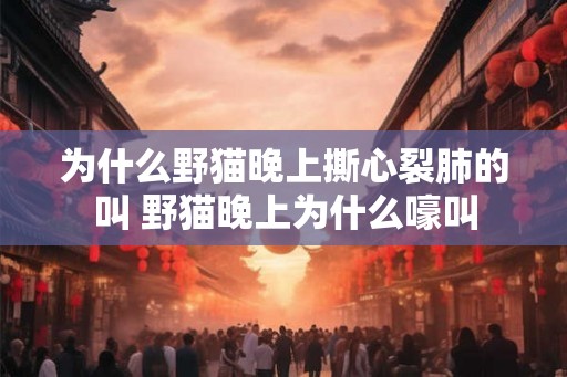 为什么野猫晚上撕心裂肺的叫 野猫晚上为什么嚎叫