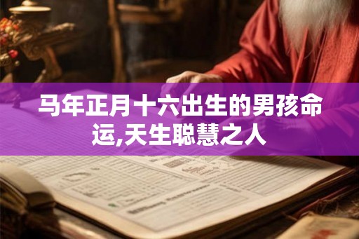马年正月十六出生的男孩命运,天生聪慧之人