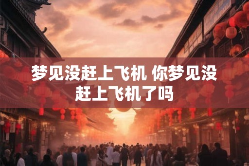 梦见没赶上飞机 你梦见没赶上飞机了吗