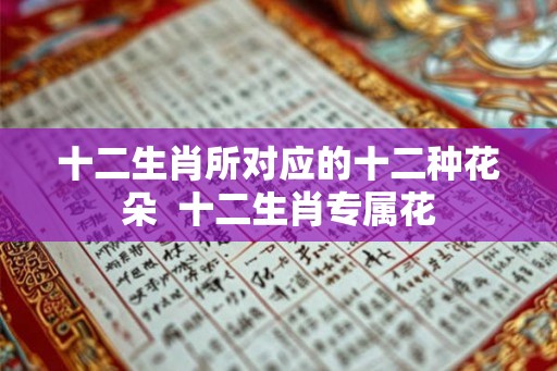 十二生肖所对应的十二种花朵  十二生肖专属花