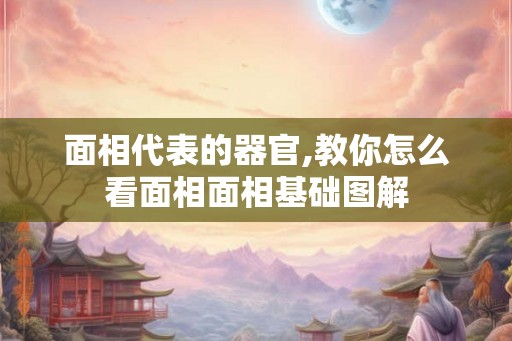 面相代表的器官,教你怎么看面相面相基础图解