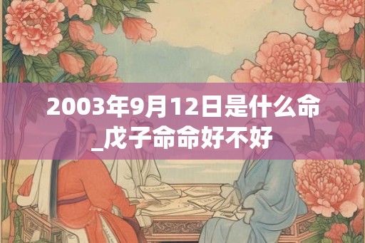 2003年9月12日是什么命_戊子命命好不好