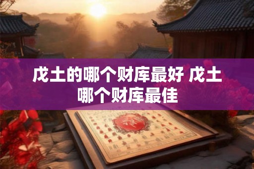 戊土的哪个财库最好 戊土哪个财库最佳