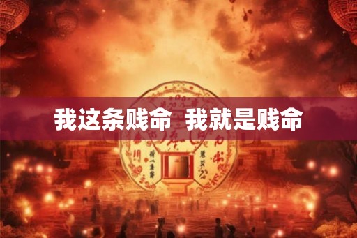 我这条贱命  我就是贱命