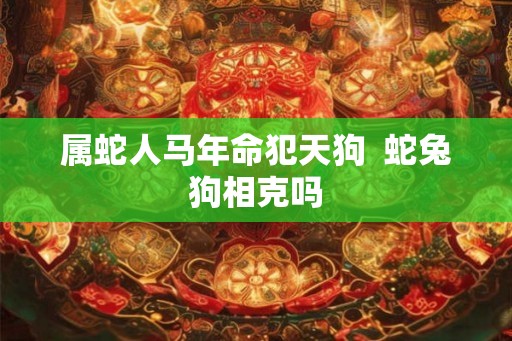 属蛇人马年命犯天狗  蛇兔狗相克吗