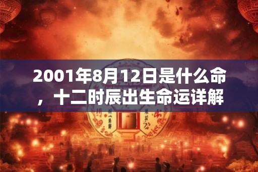 2001年8月12日是什么命，十二时辰出生命运详解