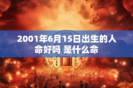 2001年6月15日出生的人命好吗 是什么命