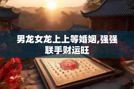 男龙女龙上上等婚姻,强强联手财运旺