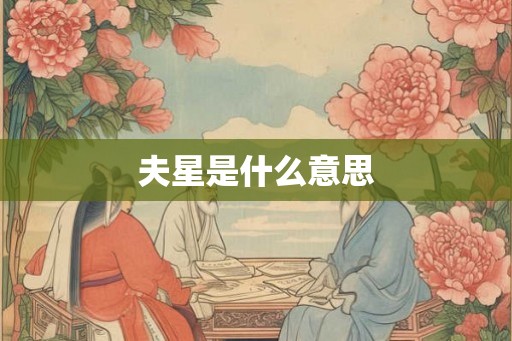 夫星是什么意思