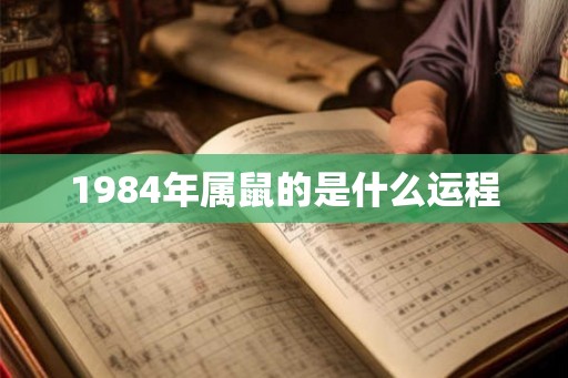 1984年属鼠的是什么运程