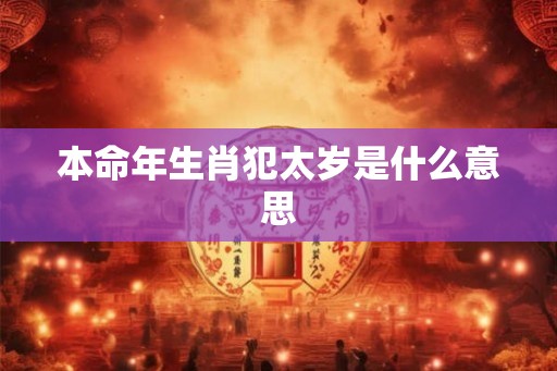 本命年生肖犯太岁是什么意思