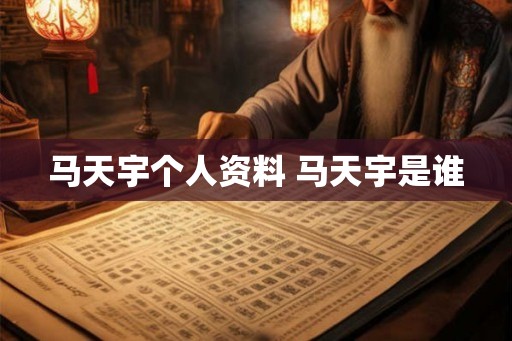 马天宇个人资料 马天宇是谁