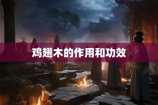 鸡翅木的作用和功效
