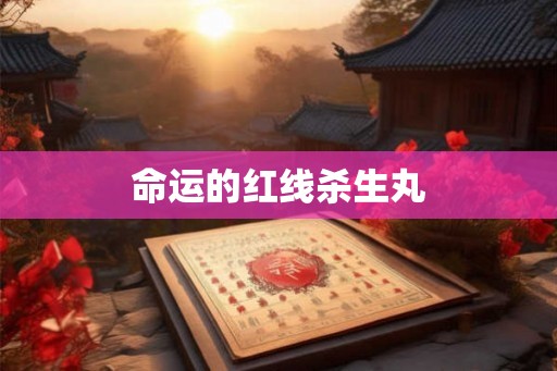 命运的红线杀生丸