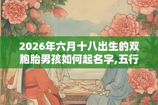 2026年六月十八出生的双胞胎男孩如何起名字,五行属什么？
