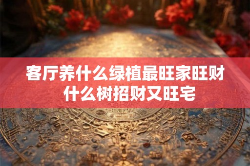 客厅养什么绿植最旺家旺财  什么树招财又旺宅