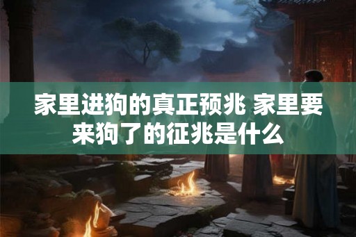 家里进狗的真正预兆 家里要来狗了的征兆是什么 家里进狗的真正预兆 家里要来狗了的征兆是什么