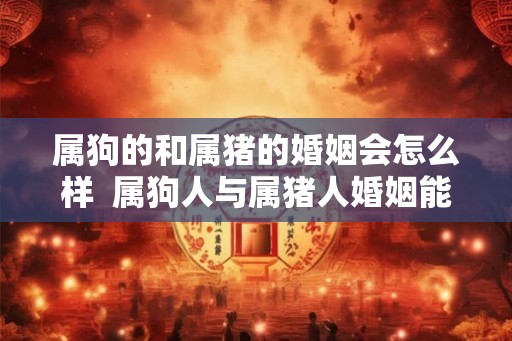属狗的和属猪的婚姻会怎么样  属狗人与属猪人婚姻能幸福吗